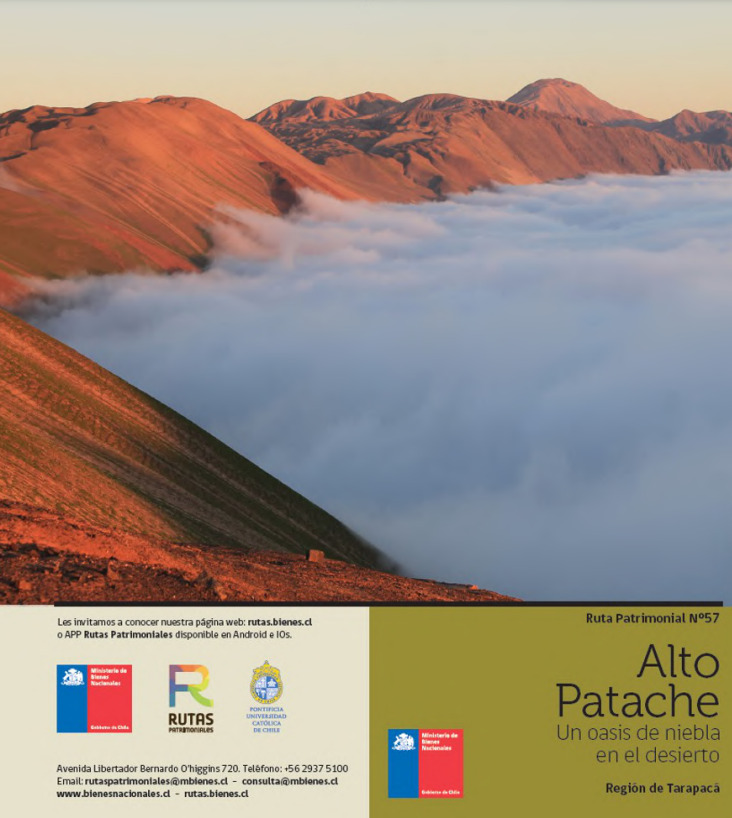 Portada Ruta Patrimonial BNP N°57 Alto Patache: Un oasis de niebla en el desierto