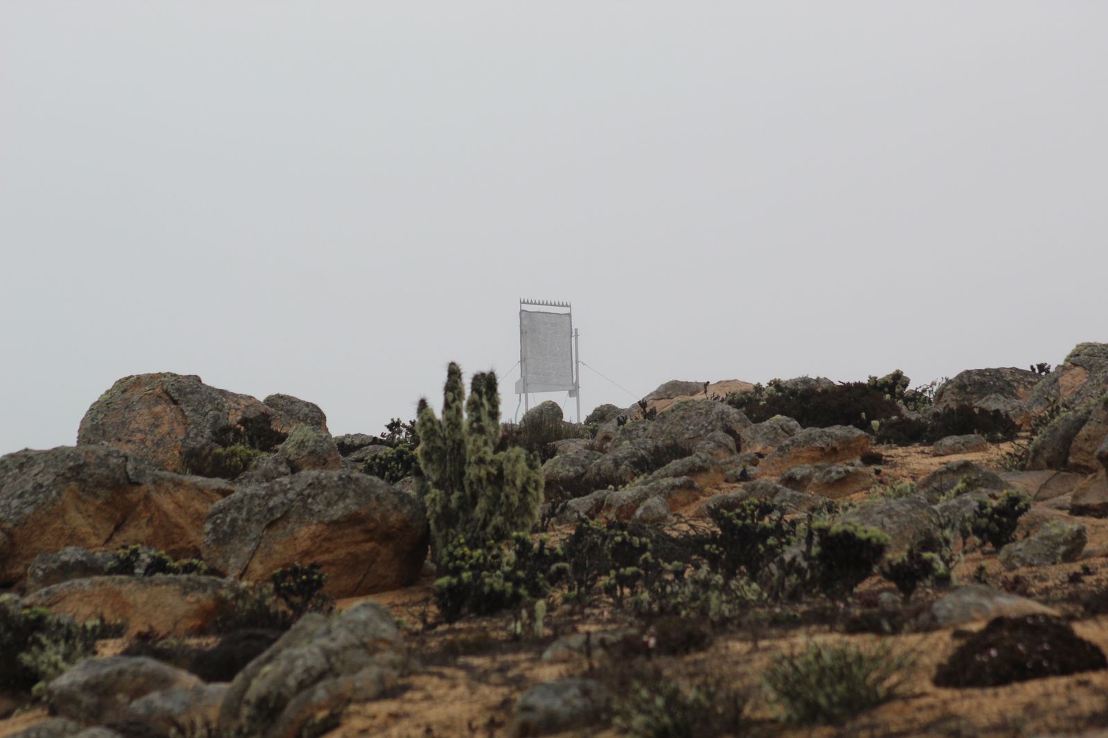 estación de monitoreo de la niebla